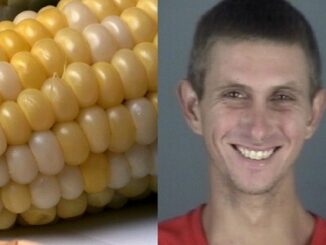 Florida Man Arrested For Beating His Mom With Corn Cob.