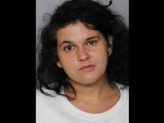 Florida woman pulled an alligator out of her yoga pants during traffic stop