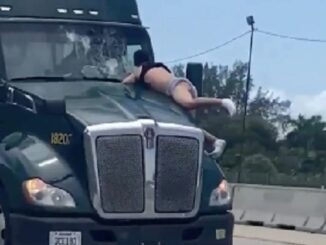 Florida Man Hangs On To Moving Semi-Truck Hood For Miles.