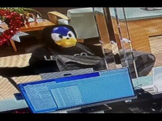 Florida Man wearing a Sonic the Hedgehog mask Robs Bank.